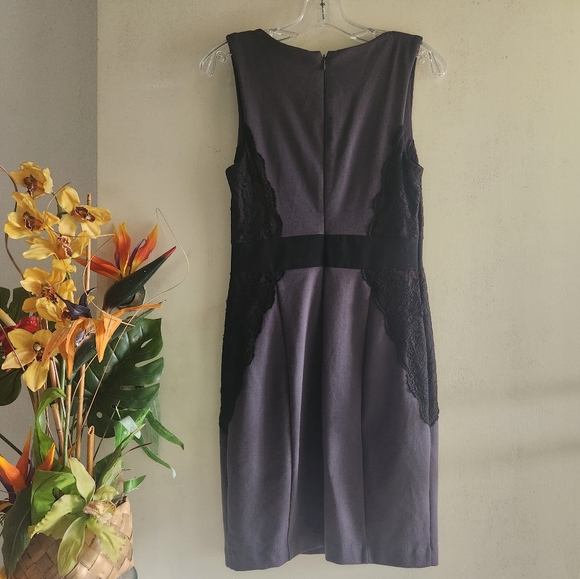 Jennifer Lopez Black Lace V-Neck Sleeveless Size 4 EUC Gray Dress - Picture 2 of 13